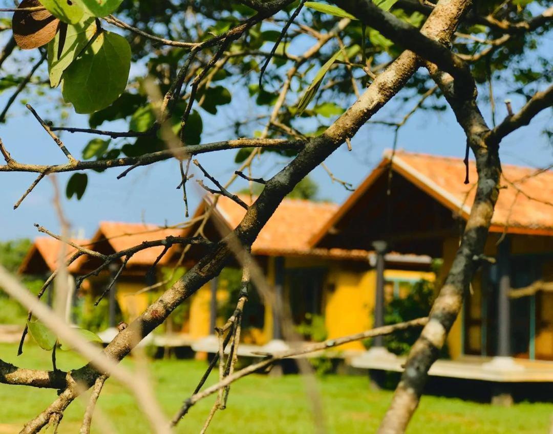 Kumbukgaha Villa Szigirija Kültér fotó