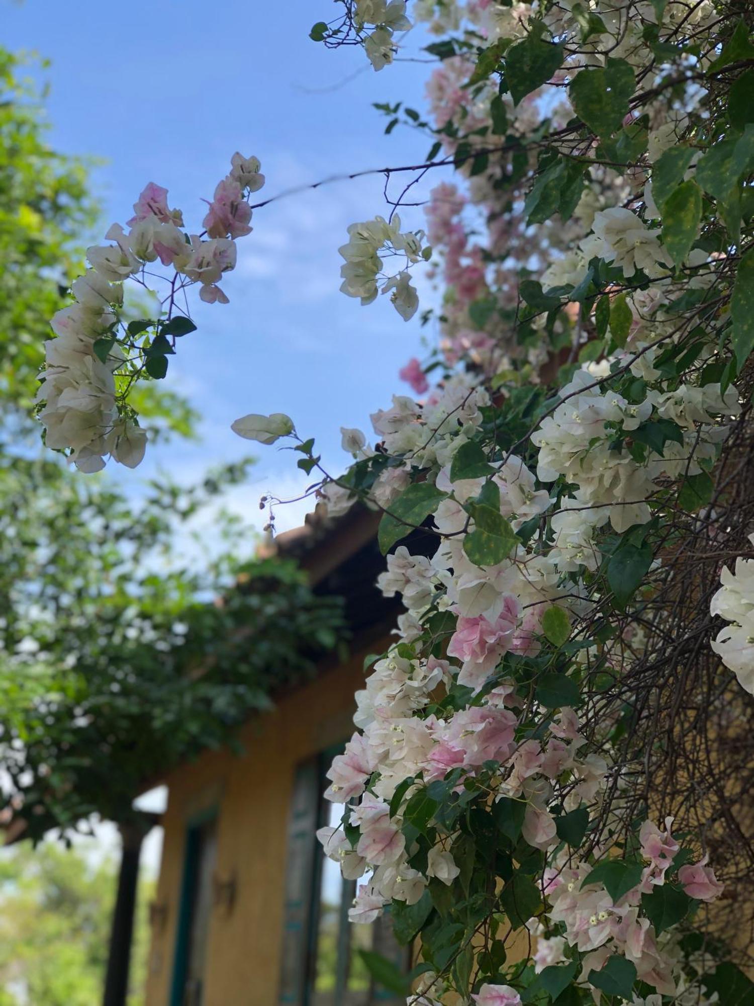 Kumbukgaha Villa Szigirija Kültér fotó